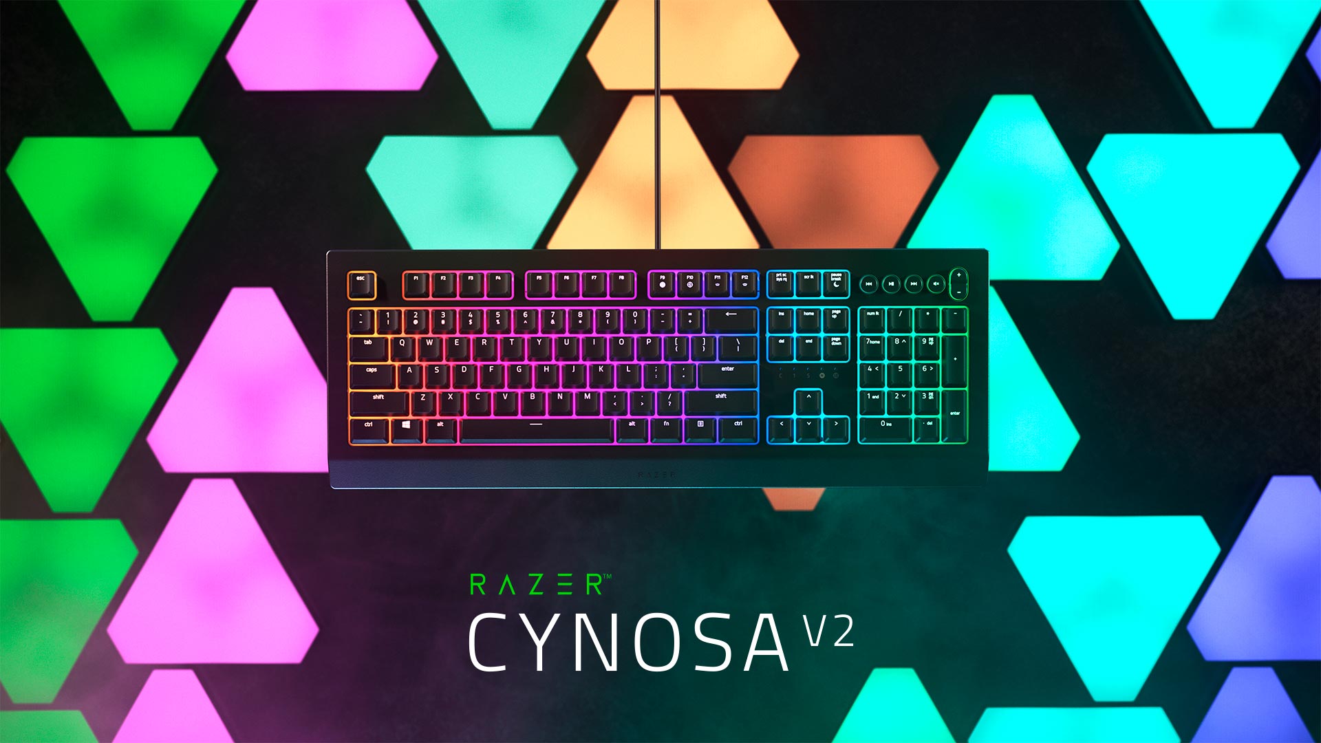 Razer Cynosa V2