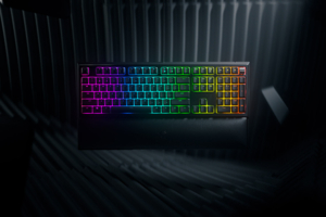 Механико-мембранная игровая клавиатура Razer Ornata V2