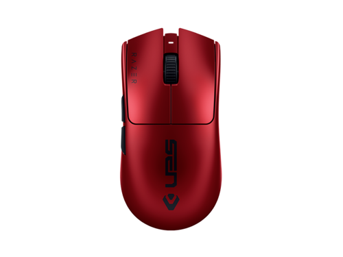 Сорущий мышки жеке Сорущий мышки жеке